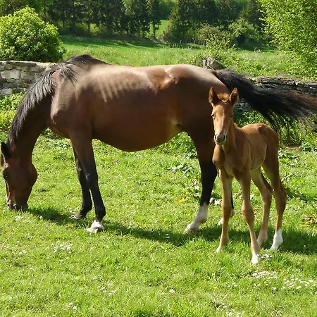 Vakantieboerderij Relais De La Vallee De L'ource *