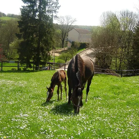 Relais De La Vallee De L'ource