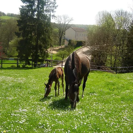Relais De La Vallee De L'ource